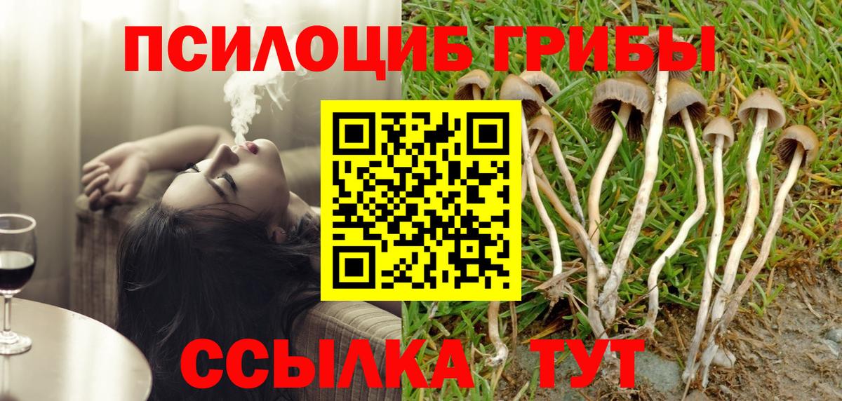 Гусиноозёрск  Псилоцибиновые грибы Psilocybe  Вход с VPN 