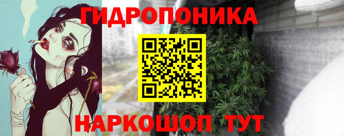Бошки Шишки Гусиноозёрск