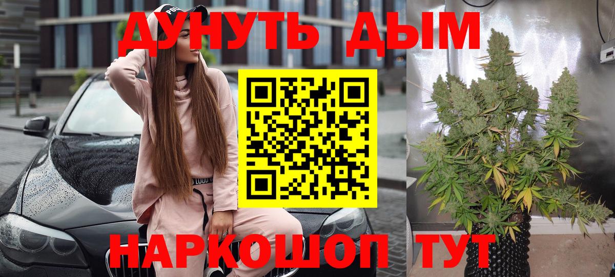 Каннабис планчик  Бошки Шишки Ganja  Шишки марихуана семена  Каннабис Ganja  Вход с VPN  Гусиноозёрск 